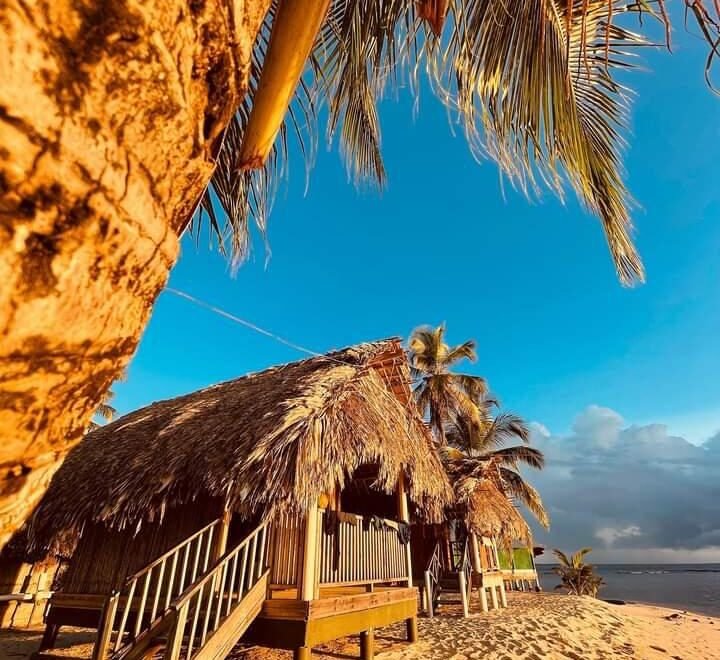 WhatsApp Image 2023-02-15 at 12.41.22