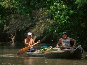 Guna indigenous man paddling traditional wooden cayuco in San Blas Islands Panama