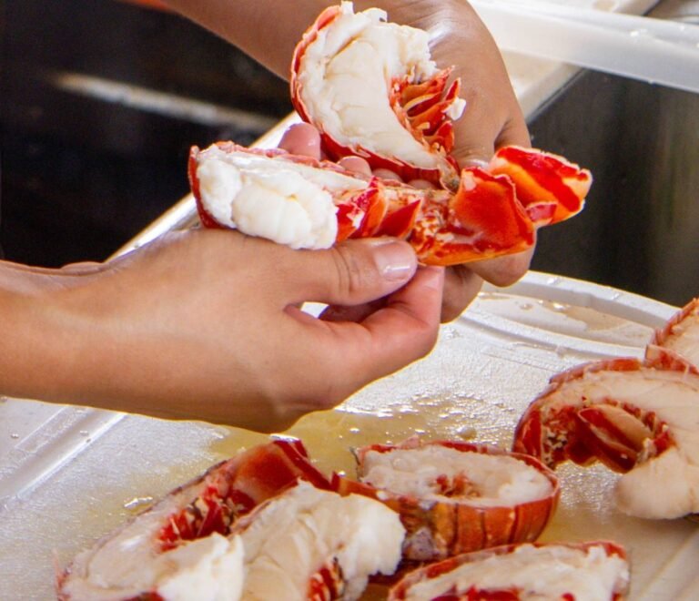 Fresh lobster prepared onboard Lagoon 440 catamaran in San Blas