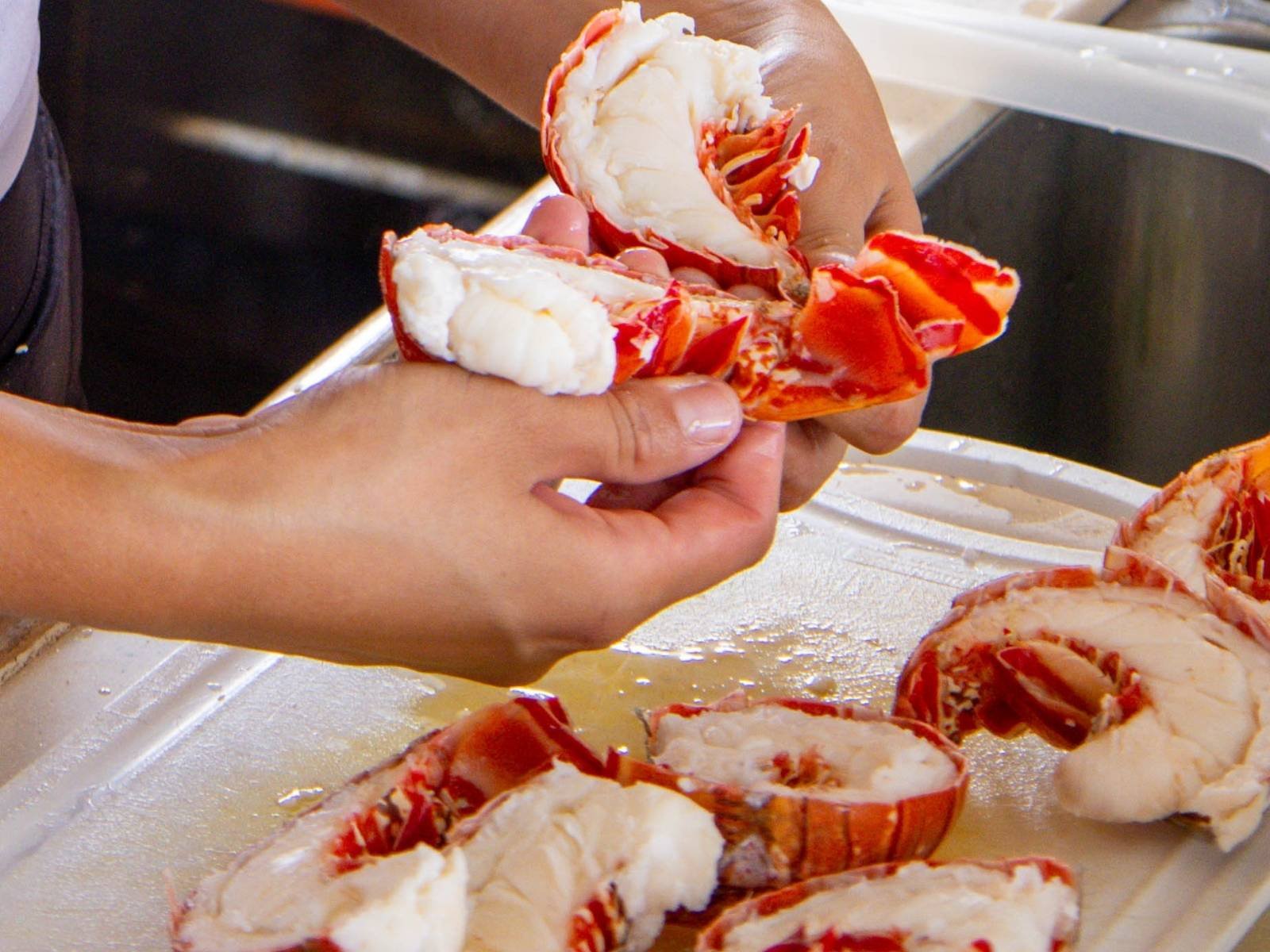 Fresh lobster prepared onboard Lagoon 440 catamaran in San Blas