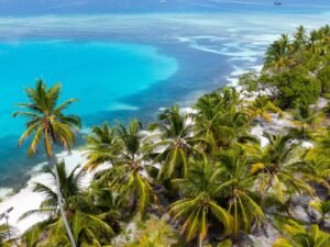 Vista aérea de cayos holandeses en San Blas Panamá con agua turquesa, palmeras y playas paradisíacas