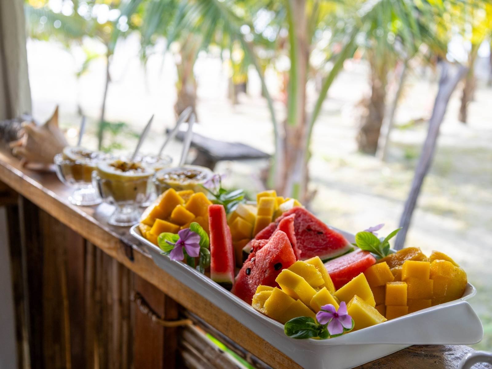 Desayuno con frutas frescas de temporada en Cayos Holandeses San Blas con vista al mar
