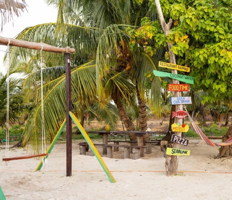 Zona de juegos y descanso en Cayos Holandeses San Blas con columpios y palmeras