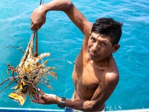 Local fisherman holding fresh lobster in San Blas Panama