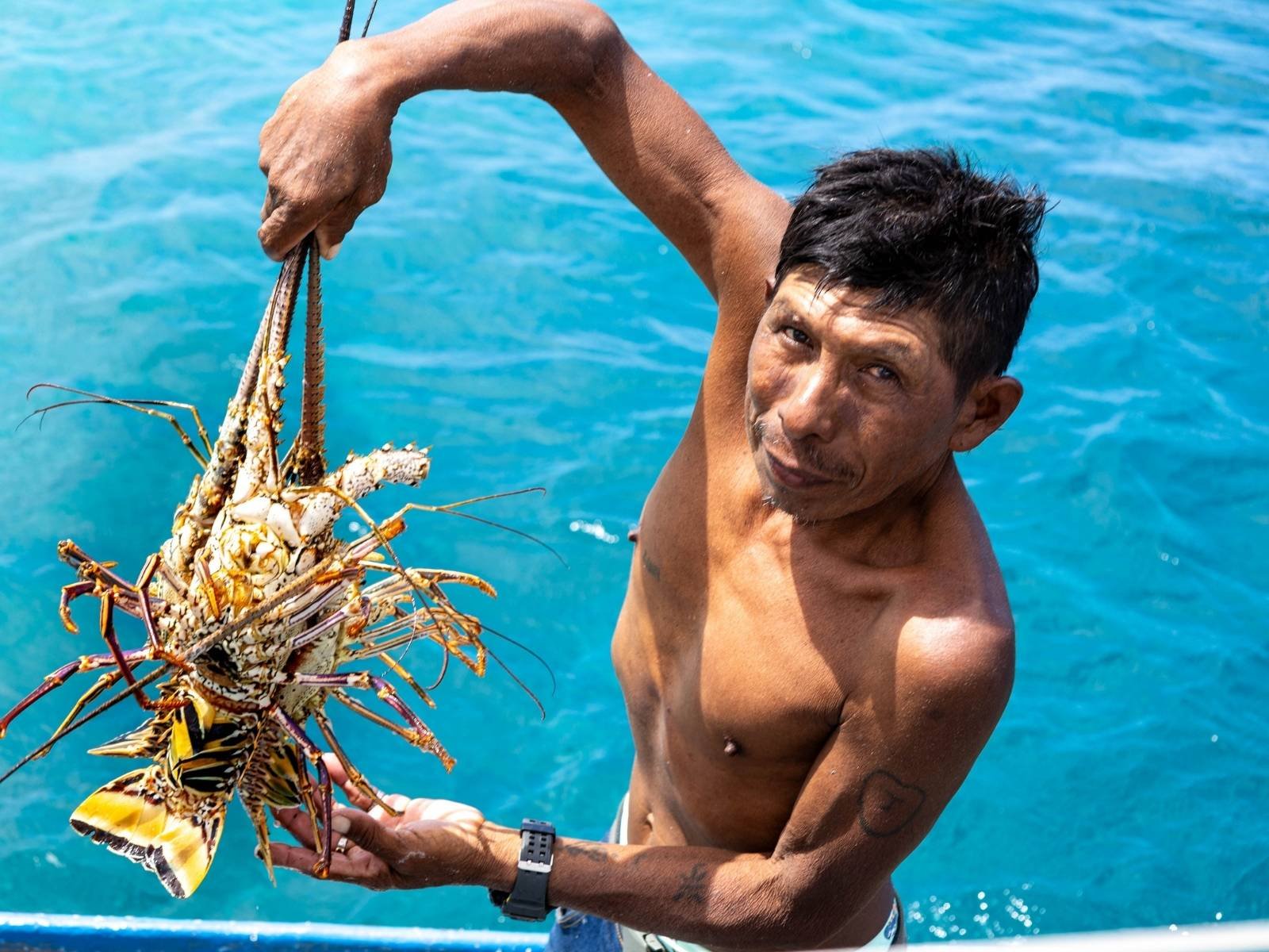 Local fisherman holding fresh lobster in San Blas Panama