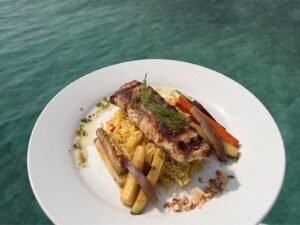 Gourmet plated meal served onboard Lagoon 57 catamaran in San Blas