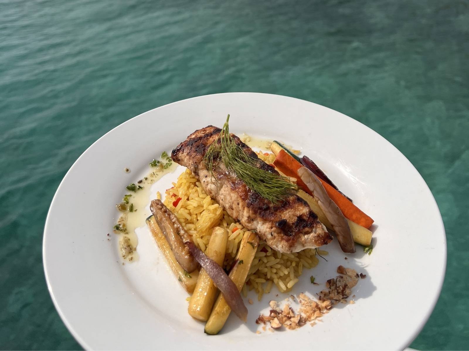 Gourmet plated meal served onboard Lagoon 57 catamaran in San Blas