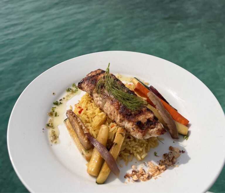 Plato gourmet servido a bordo de catamarán en San Blas con pescado y vegetales frescos